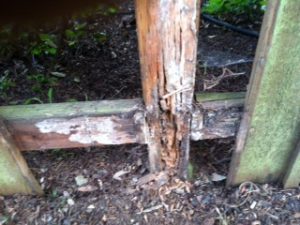 Fencing - Rotten fence post